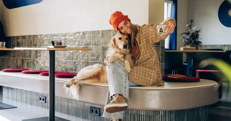 Creating content with your dog: how to have fun, make memories and share their life online