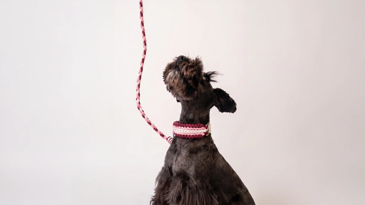 Leads